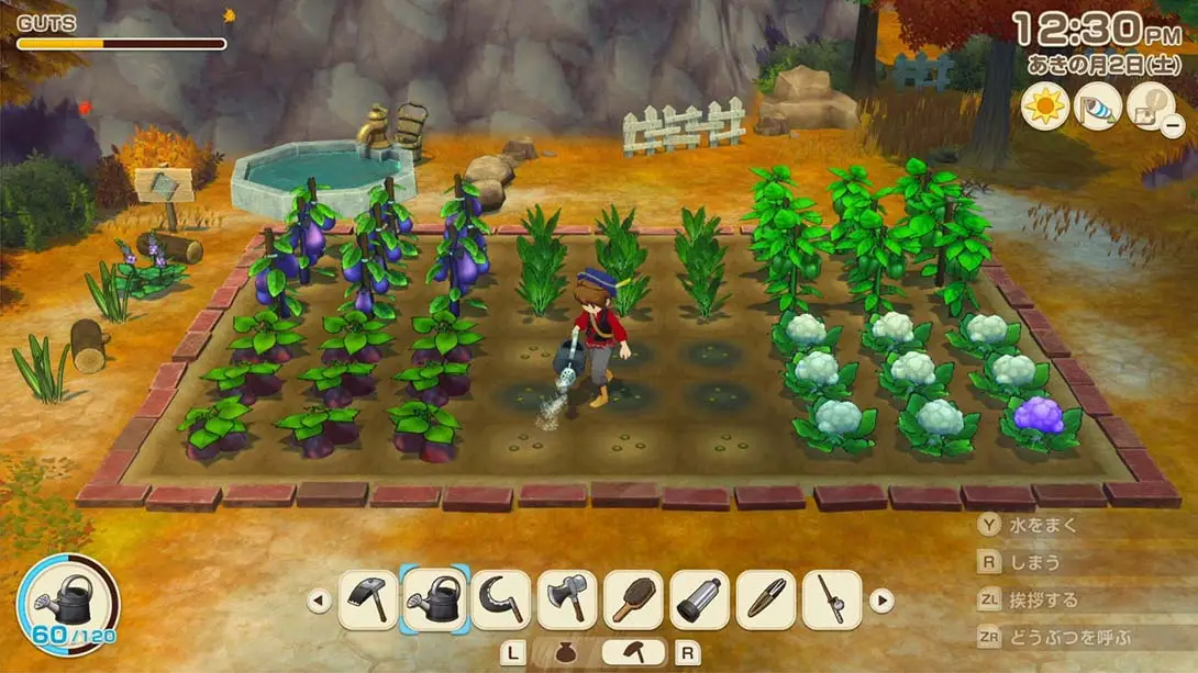 【日版】牧场物语 来吧！风之繁华集市 .STORY OF SEASONS: Grand Bazaar