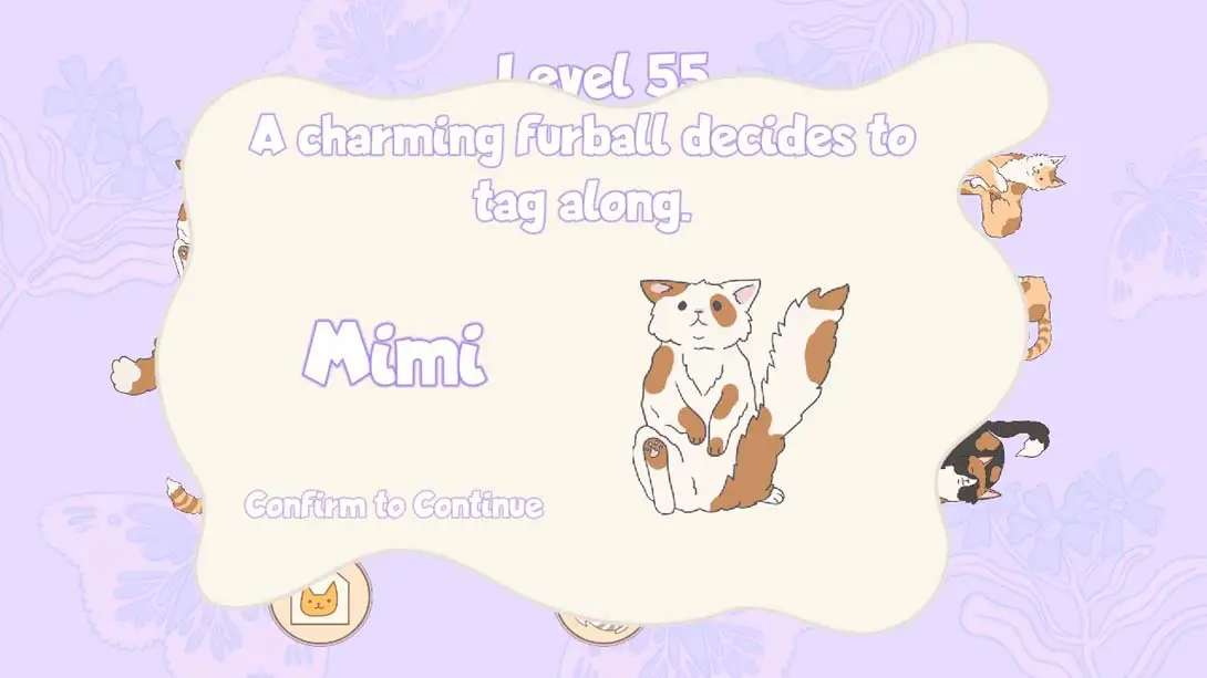 图片[5]-【美版】盒中猫 .Cats in Boxes-游糖YoTeb