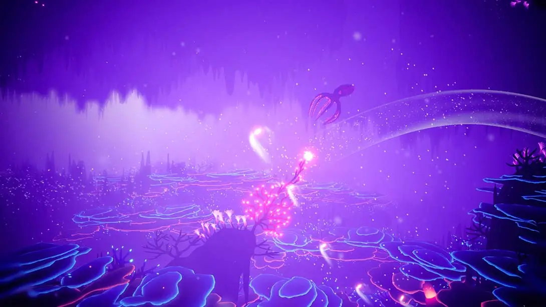 图片[4]-【美版】珊瑚.Koral-游糖YoTeb