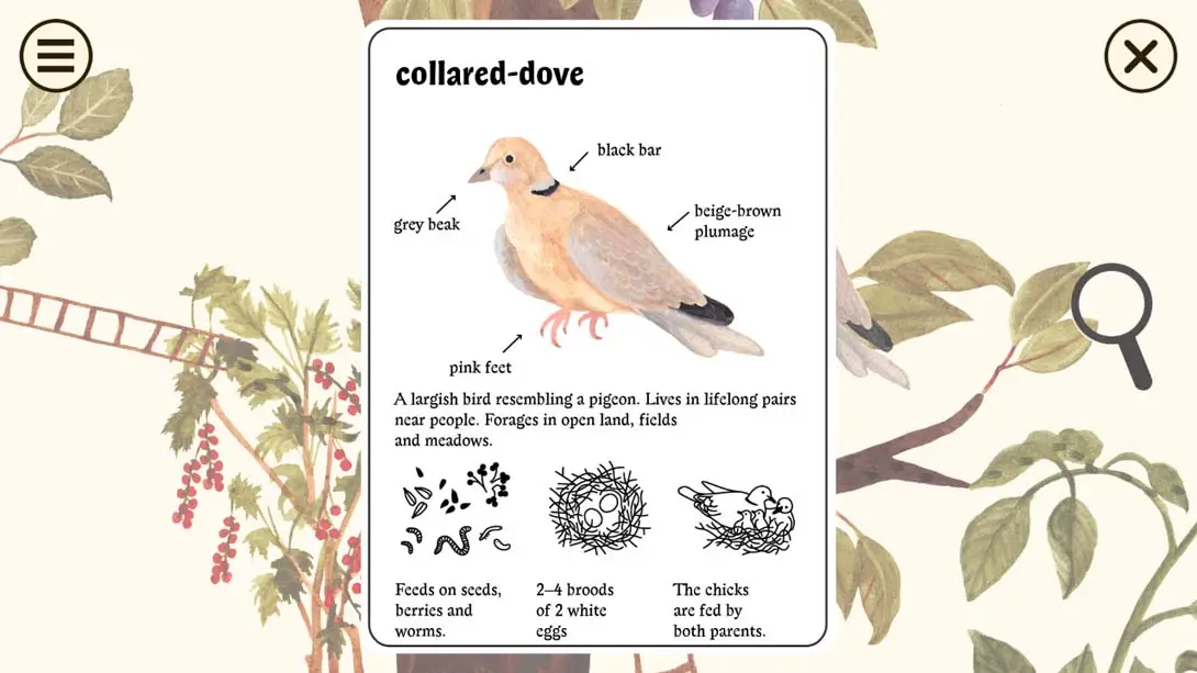 图片[3]-【美版】小老鼠百科全书 Little Mouse’s Encyclopedia-游糖YoTeb