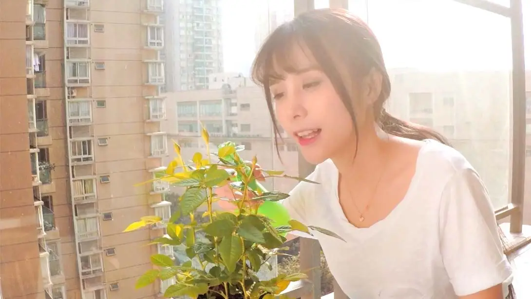 图片[2]-女神驾到：夏日甜心 Summer Sweetheart-游糖YoTeb