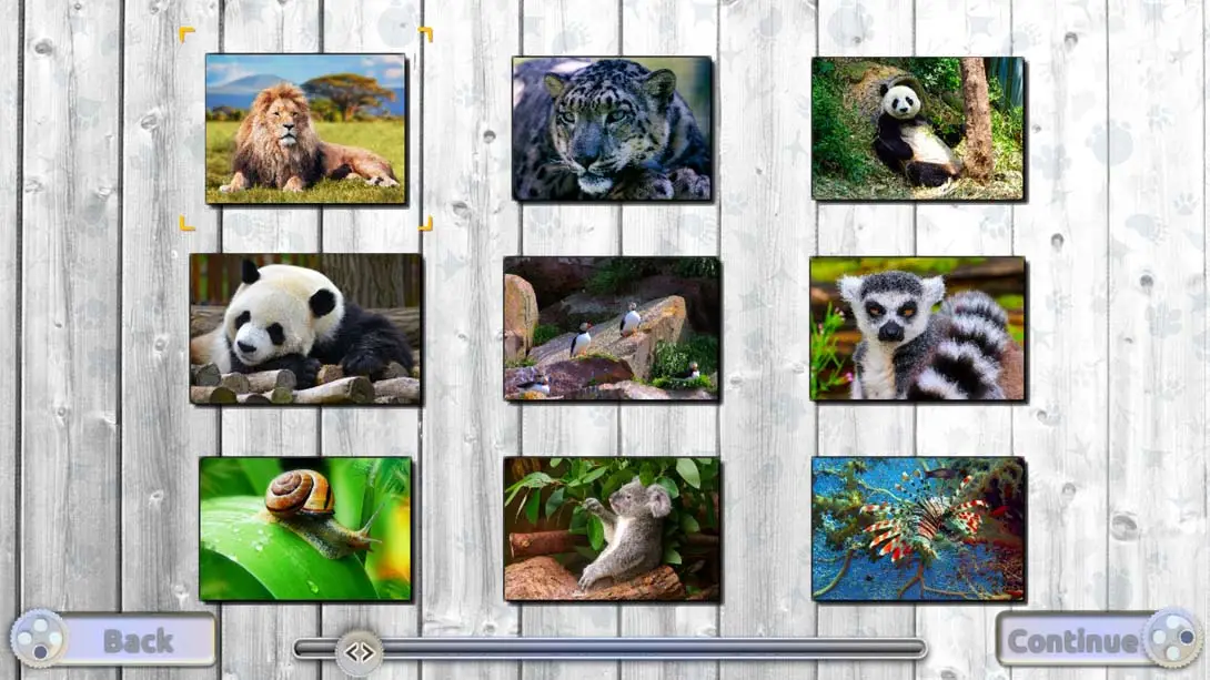 图片[6]-【美版】快乐拼图：迷人的动物 Jigsaw Fun: Amazing Animals-游糖YoTeb