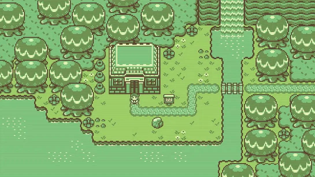 图片[1]-蒂莫西和神秘的森林 Timothy and the Mysterious Forest-游糖YoTeb