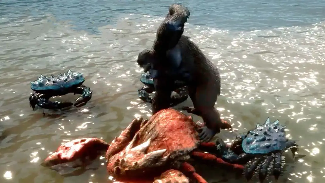 图片[1]-【美版】骷髅岛:金刚崛起 Skull Island: Rise of Kong-游糖YoTeb