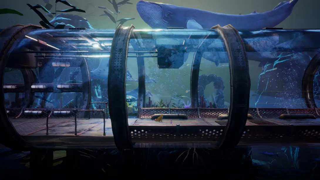 图片[5]-别样视界-游糖YoTeb