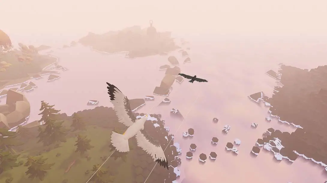 图片[2]-羽毛 Feather-游糖YoTeb