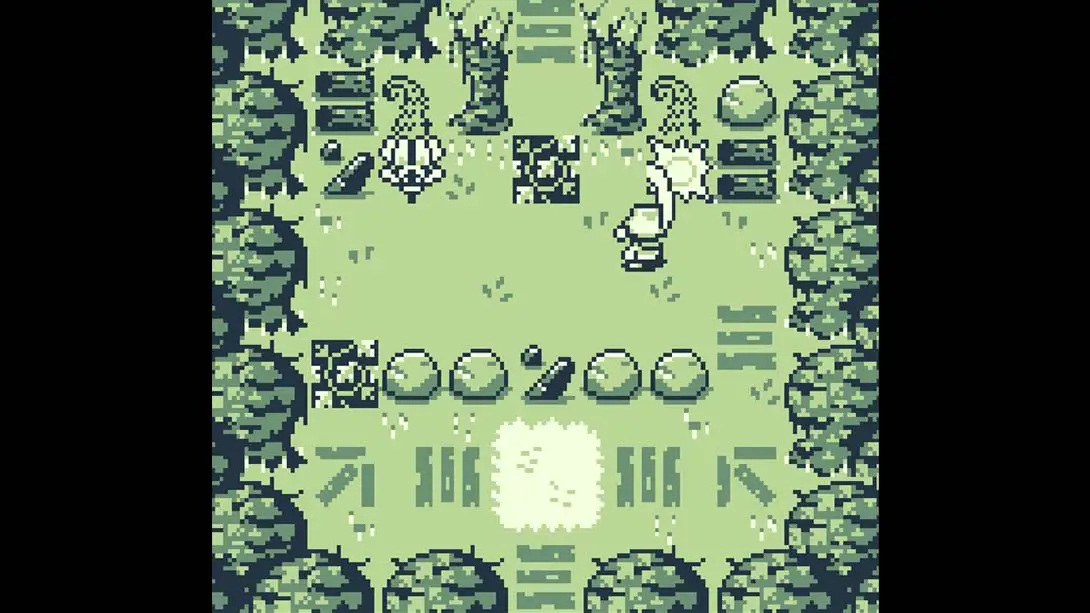 图片[3]-【美版】葛根 .Kudzu-游糖YoTeb