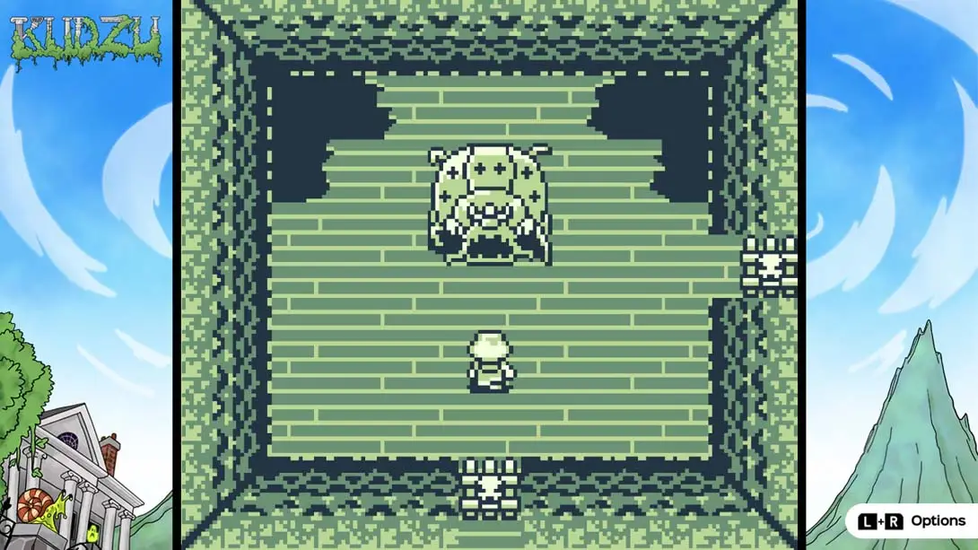 图片[5]-【美版】葛根 .Kudzu-游糖YoTeb