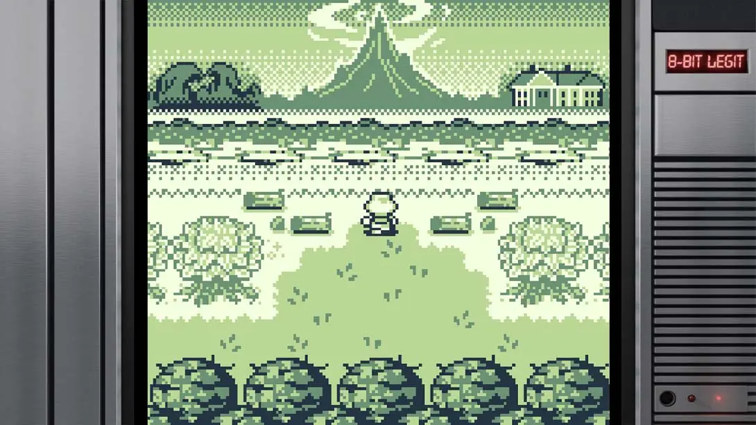 图片[1]-【美版】葛根 .Kudzu-游糖YoTeb