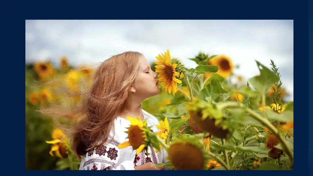 图片[3]-【美版】Beautiful Ukraine-游糖YoTeb