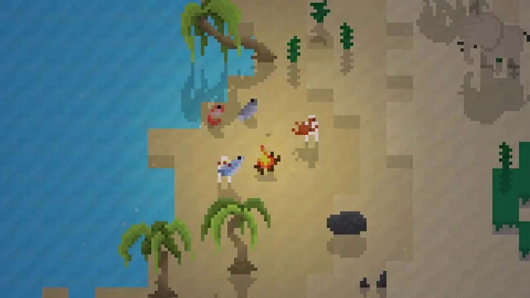 图片[2]-尼拉 Nira-游糖YoTeb