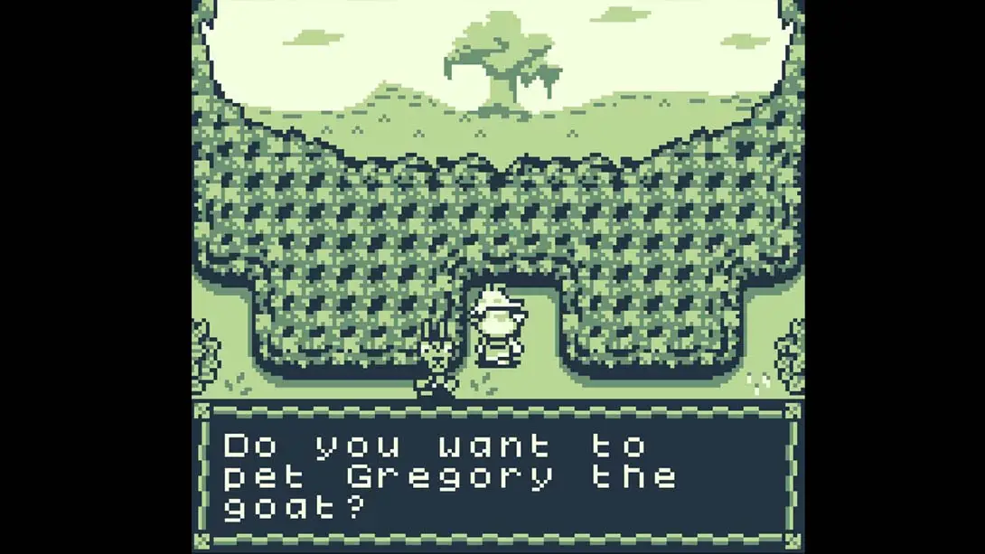 图片[6]-【美版】葛根 .Kudzu-游糖YoTeb