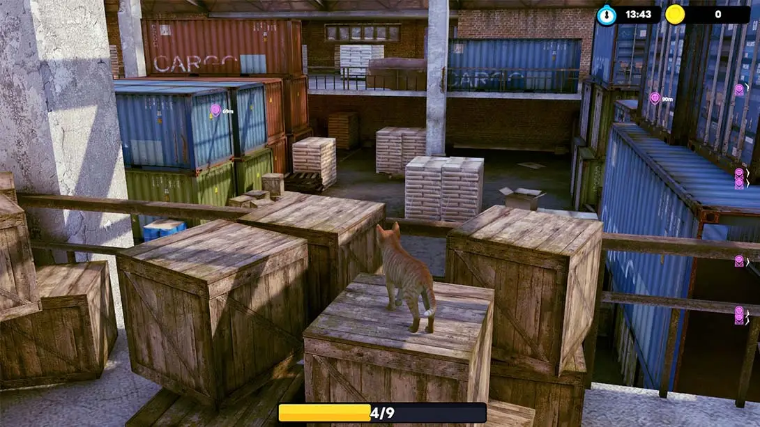 图片[3]-【美版】小猫大营救 .Little Strays-游糖YoTeb