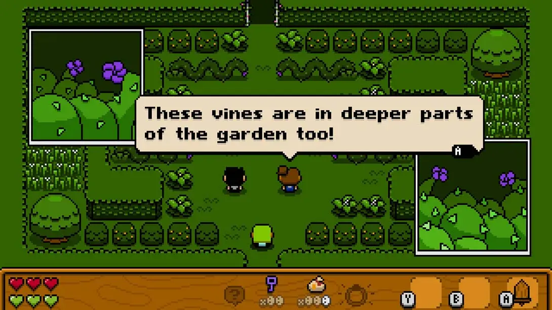 图片[6]-【美版】哈奇维尔 Hatchwell-游糖YoTeb