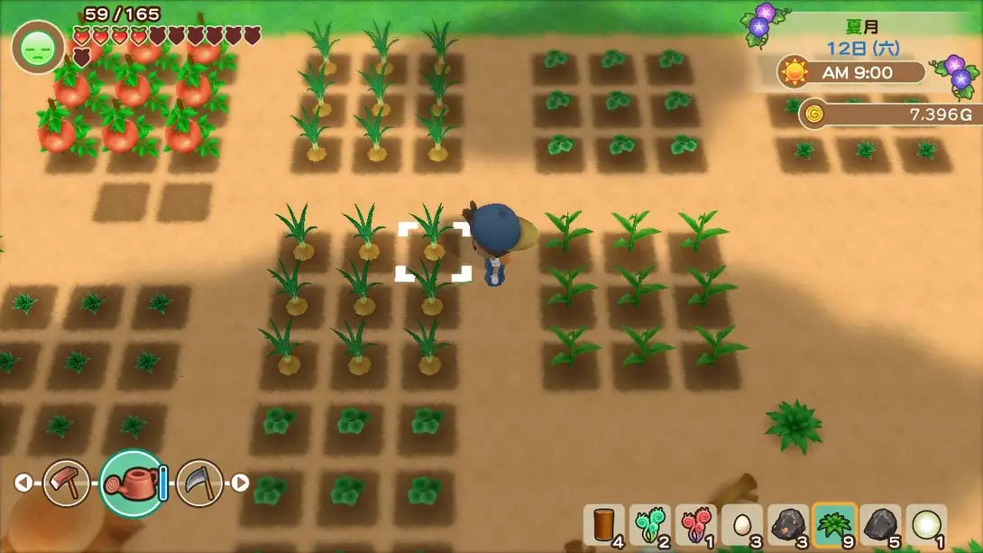 图片[2]-【港版】牧场物语：重聚矿石镇 Story of Seasons: Friends of Mineral Town-游糖YoTeb