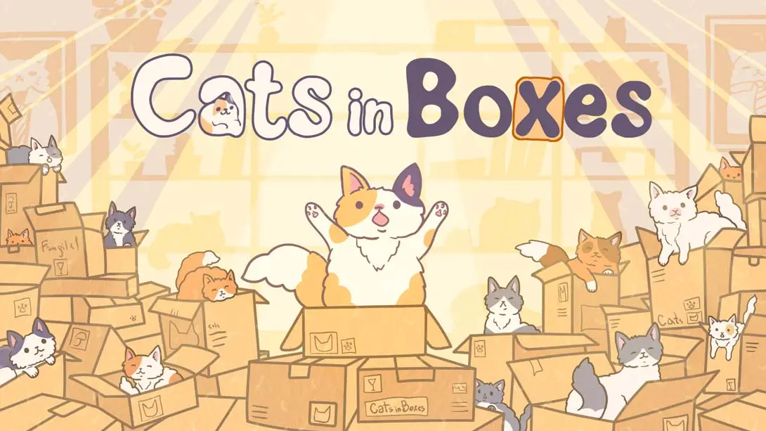 【美版】盒中猫 .Cats in Boxes-游糖YoTeb
