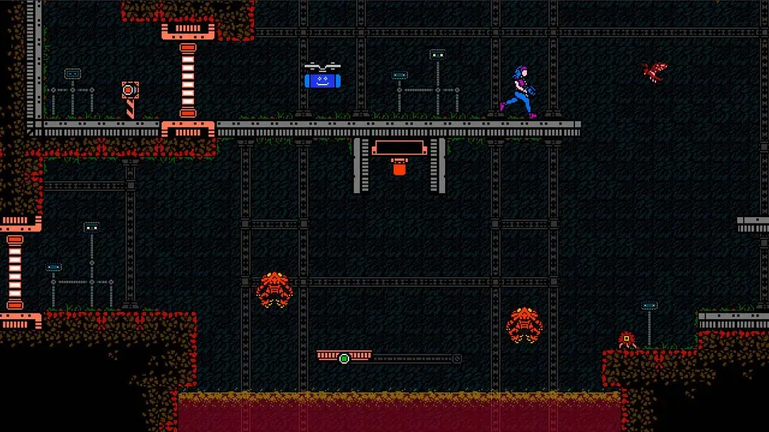 图片[1]-【美版】苏加梅尼亚 .SUGAMENIA-游糖YoTeb