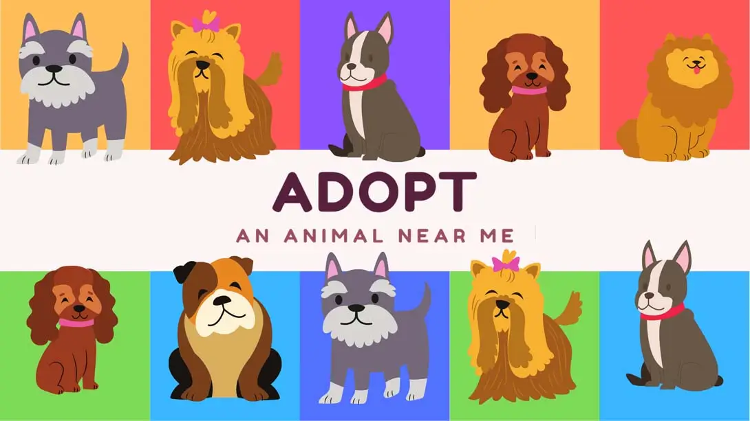 【美版】在我附近收养一只动物 Adopt an animal near me-游糖YoTeb