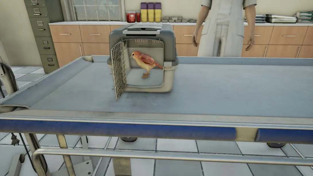 图片[3]-兽医 Animal Doctor-游糖YoTeb