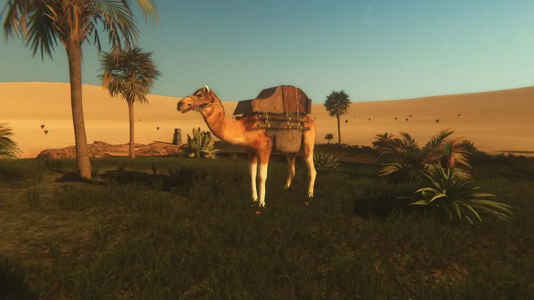 图片[5]-【美版】星辰沙海 Starsand-游糖YoTeb