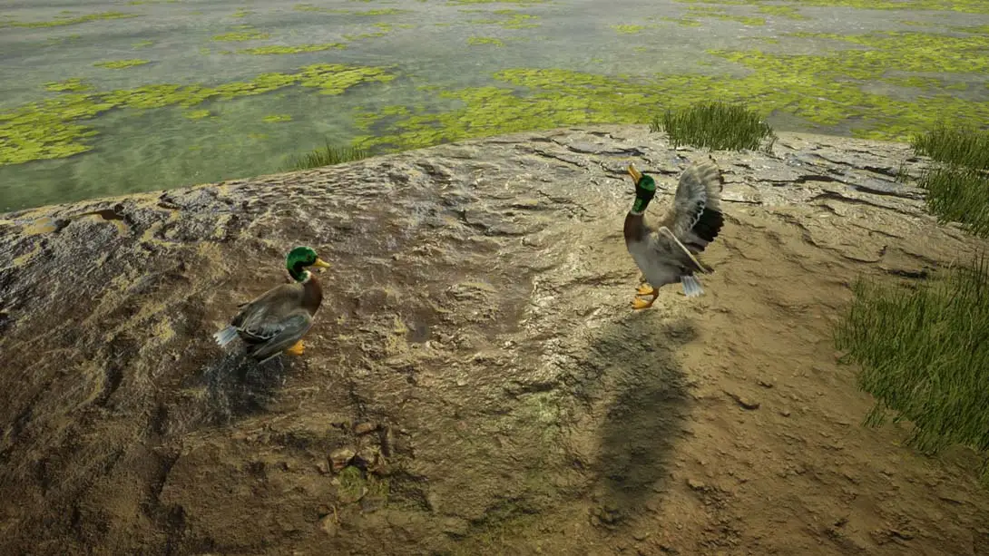 图片[4]-兽医 Animal Doctor-游糖YoTeb