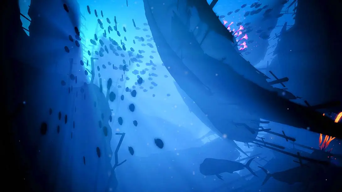 图片[6]-【美版】珊瑚.Koral-游糖YoTeb