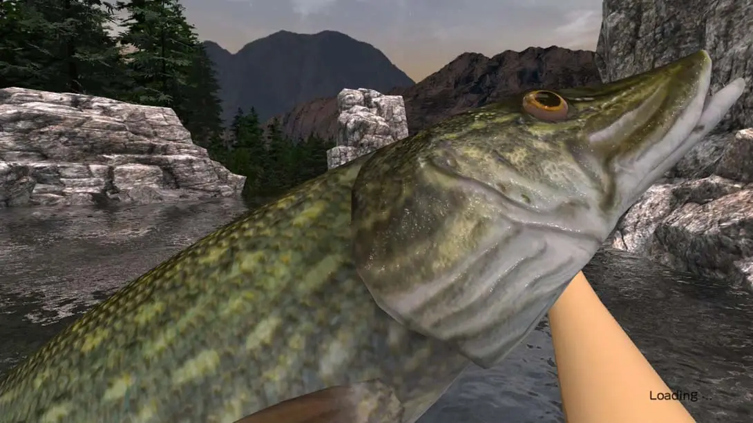 图片[4]-户外钓鱼 夏日时光 .Reel Fishing Days of Summer（0.1）金手指-游糖YoTeb