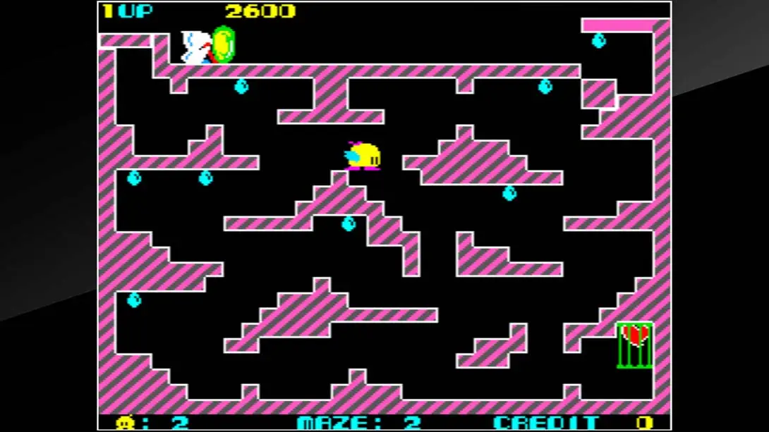 图片[3]-【日版】Arcade Archives Chack’n Pop-游糖YoTeb