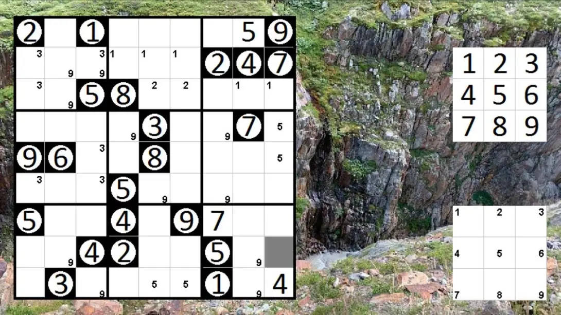 图片[1]-Logic Puzzle Collection: Sudoku – Permudoku – Nonodoku-游糖YoTeb