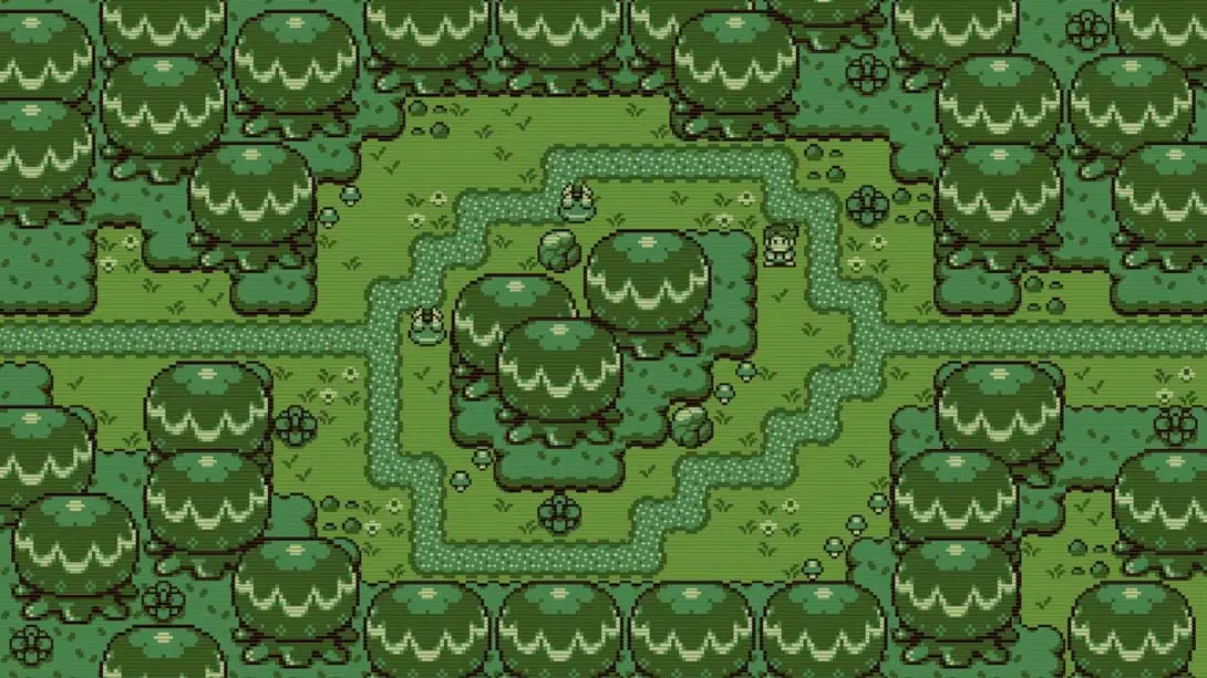 图片[3]-蒂莫西和神秘的森林 Timothy and the Mysterious Forest-游糖YoTeb