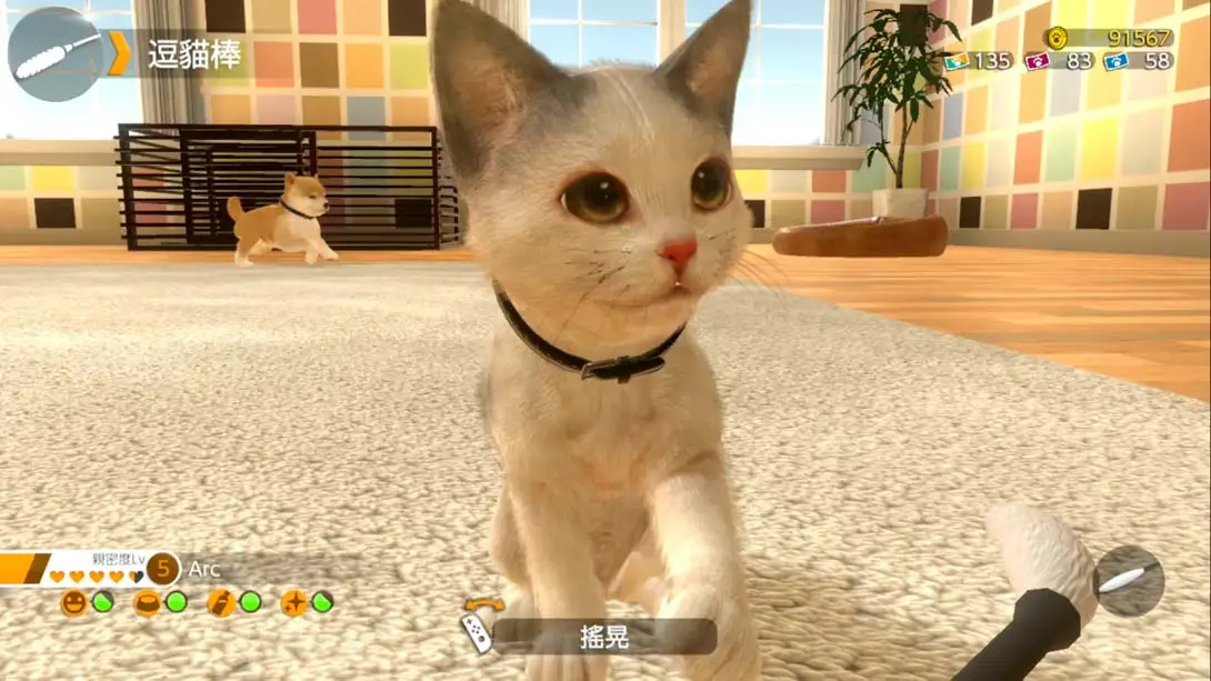 图片[1]-【港版】小小伙伴：狗狗与猫猫.LITTLE FRIENDS -DOGS & CATS--游糖YoTeb
