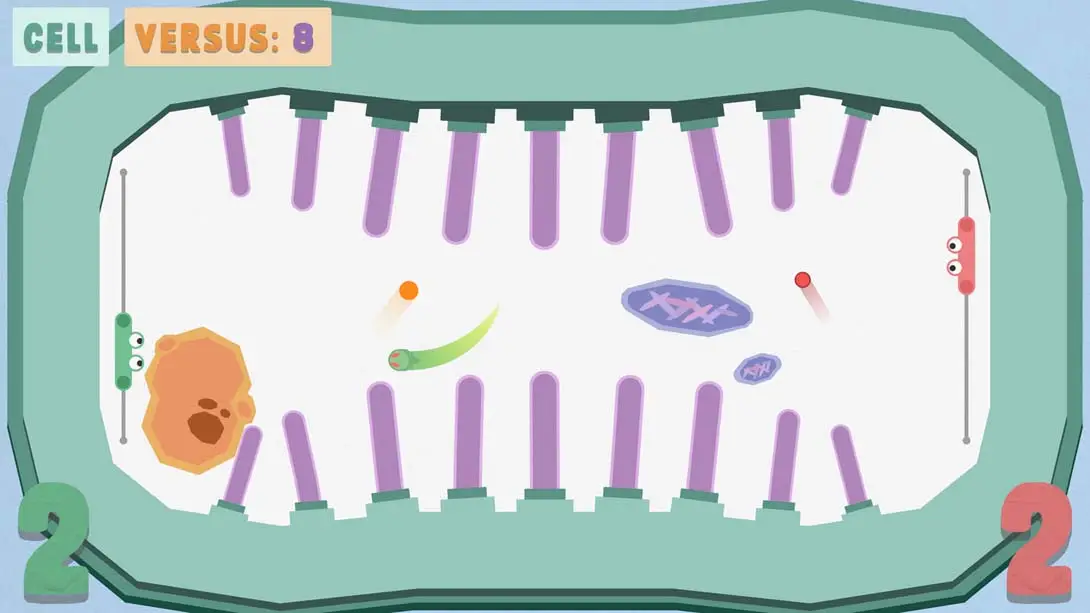 图片[5]-【美版】Paddles-游糖YoTeb