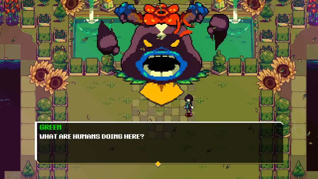 图片[4]-【美版】阿努查德 Anuchard-游糖YoTeb