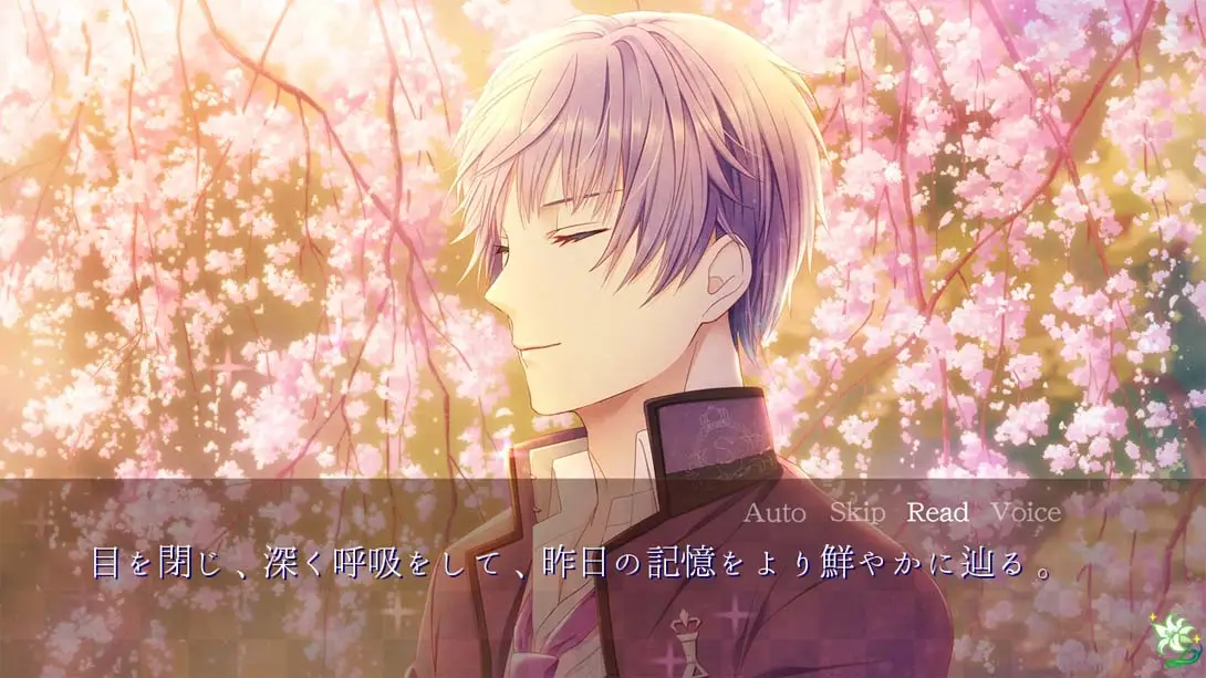 图片[4]-公主日白与黑 Himehibi Another Princess Days White or Black-游糖YoTeb