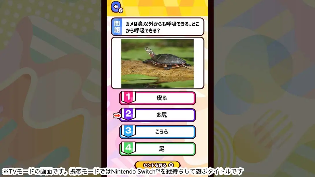 图片[4]-【日版】Knowledge quiz Animals around the world-游糖YoTeb