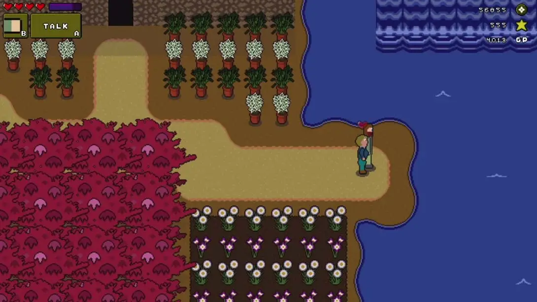 图片[4]-【美版】嘉德尼亚王国 The Kingdom of Gardenia-游糖YoTeb