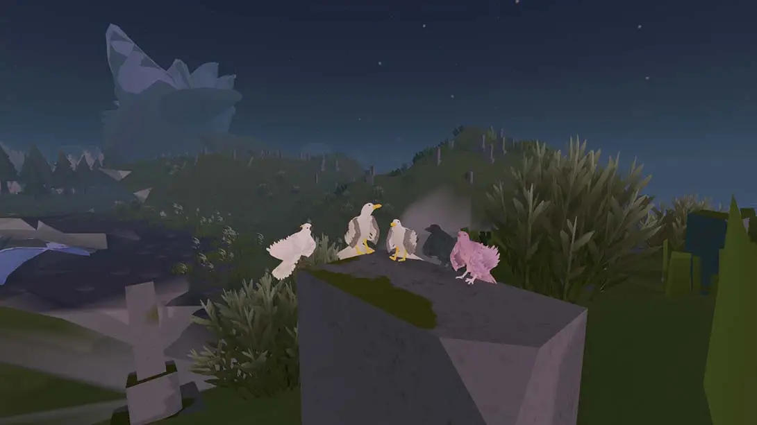 图片[6]-羽毛 Feather-游糖YoTeb