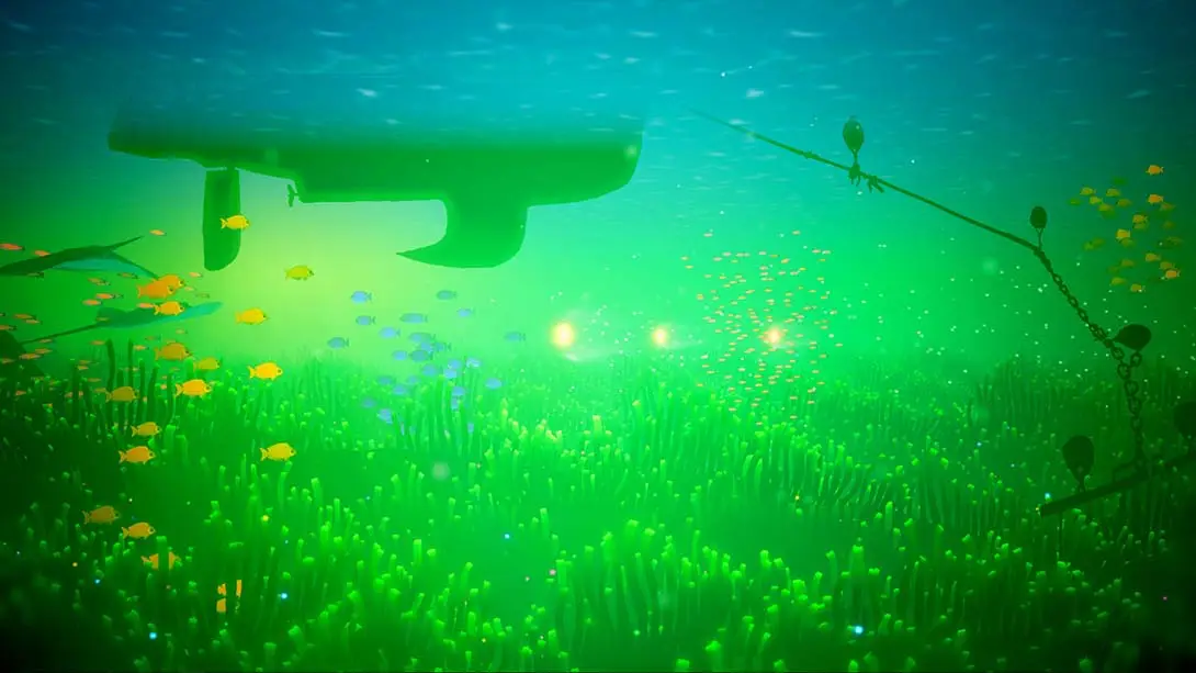 图片[1]-【美版】珊瑚.Koral-游糖YoTeb