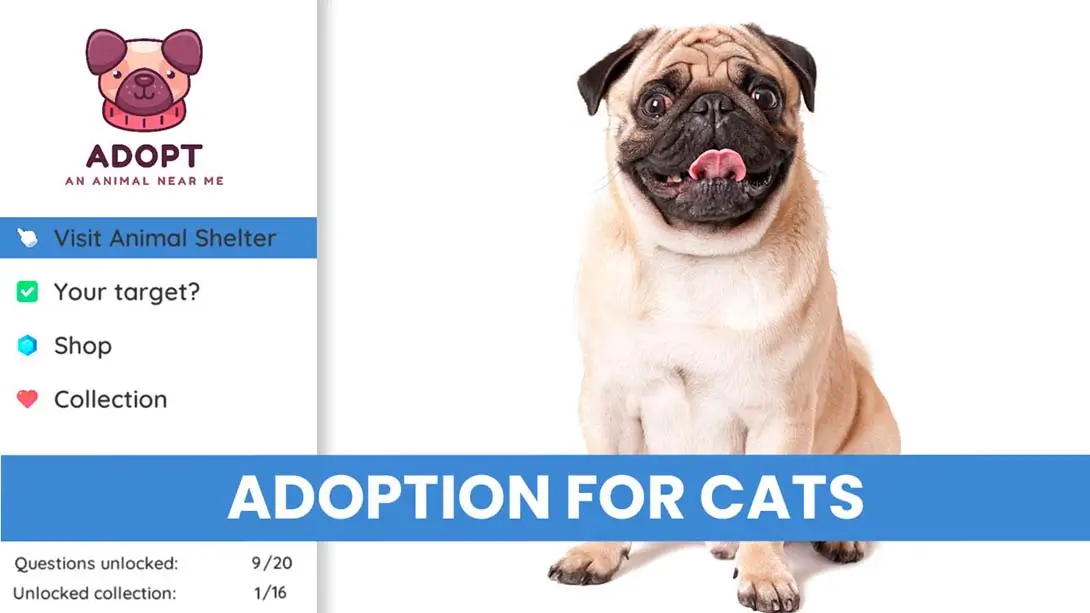 图片[6]-【美版】在我附近收养一只动物 Adopt an animal near me-游糖YoTeb