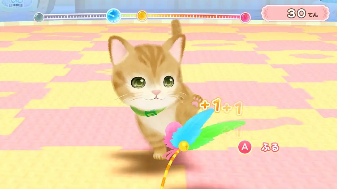 图片[6]-汪喵宠物店 与可爱宠物相伴的每一天 Wannyan Pet Shop Kawaii Pet…-游糖YoTeb