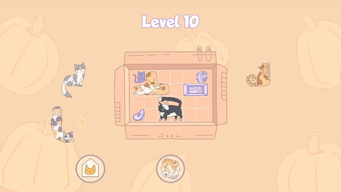 图片[3]-【美版】盒中猫 .Cats in Boxes-游糖YoTeb