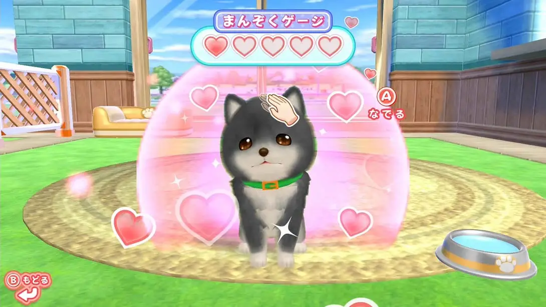 图片[2]-【日版】和狗一起玩!成为一名训狗师! .Play with dogs! Become a dog trainer!-游糖YoTeb