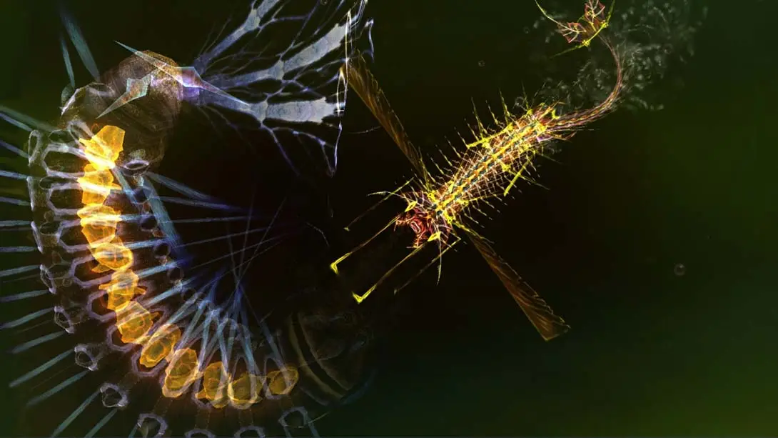 图片[3]-光影穿梭2：进化 Sparkle 2 Evo-游糖YoTeb