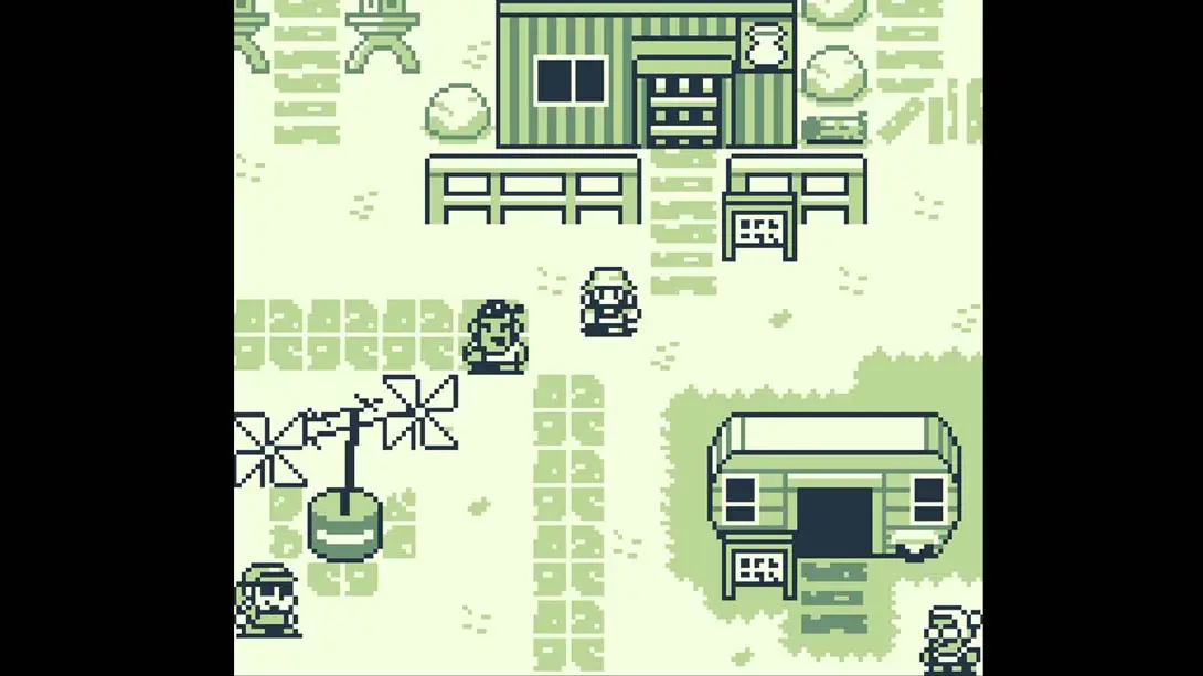 图片[4]-【美版】葛根 .Kudzu-游糖YoTeb