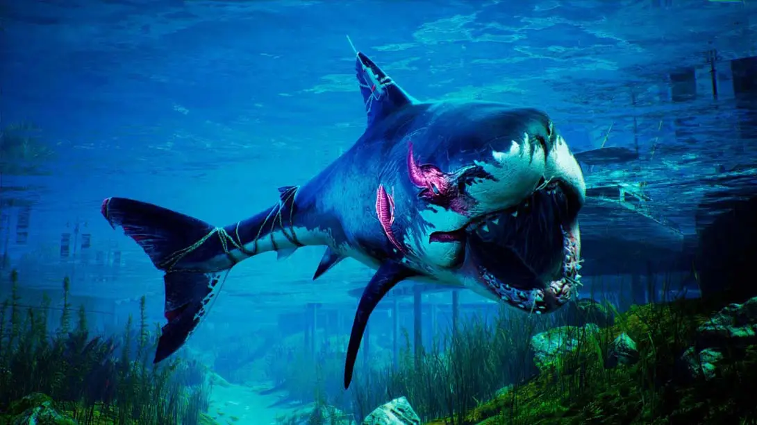 图片[5]-食人鲨 Maneater-游糖YoTeb