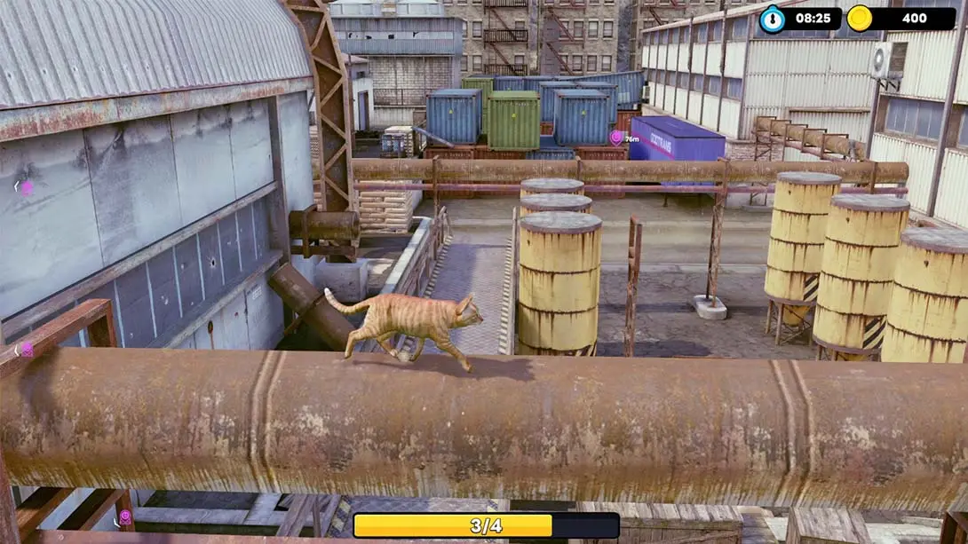 图片[1]-【美版】小猫大营救 .Little Strays-游糖YoTeb