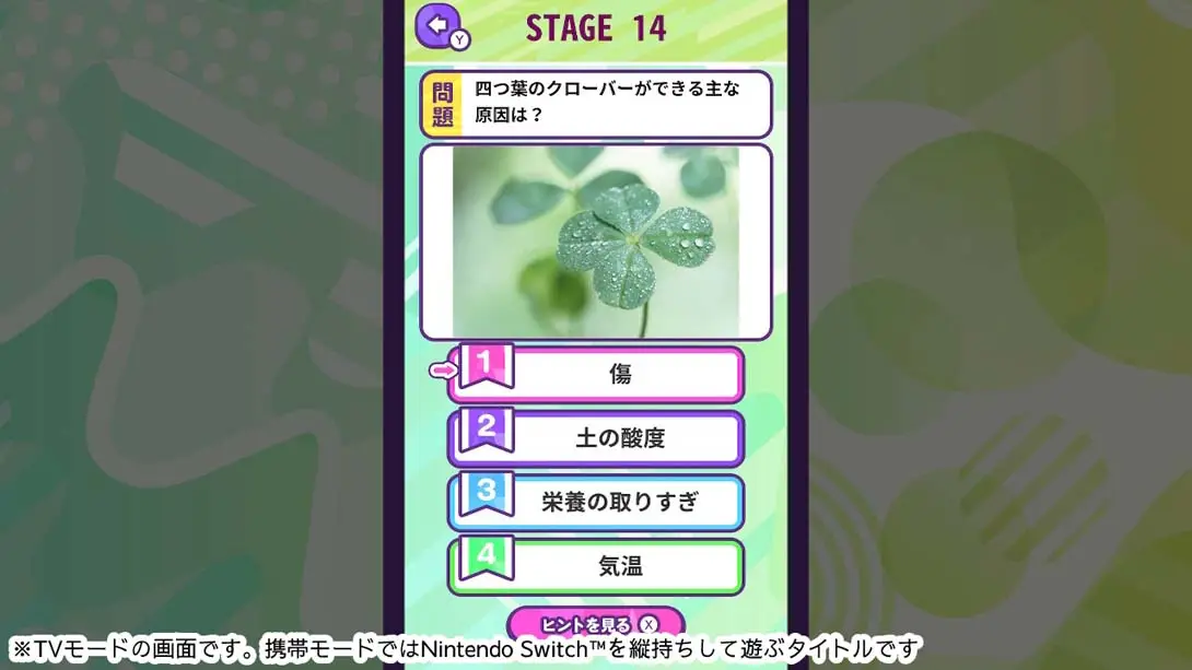 图片[4]-Knowledge Quiz Various Plants-Trivia Trivia Learning Game ものしりクイズ　いろいろ植物-游糖YoTeb