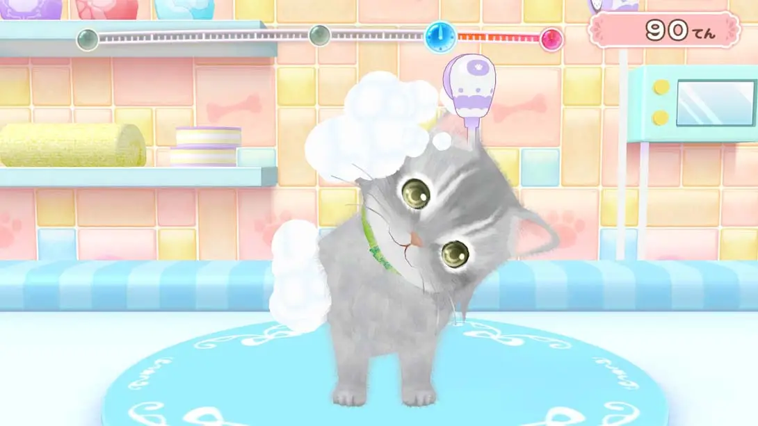 图片[2]-汪喵宠物店 与可爱宠物相伴的每一天 Wannyan Pet Shop Kawaii Pet…-游糖YoTeb