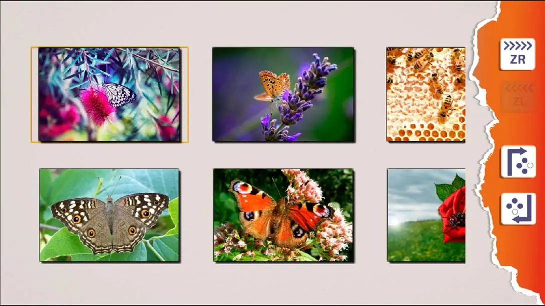 图片[5]-【美版】这是谜题:野性 It’s Puzzles: Wild Nature-游糖YoTeb