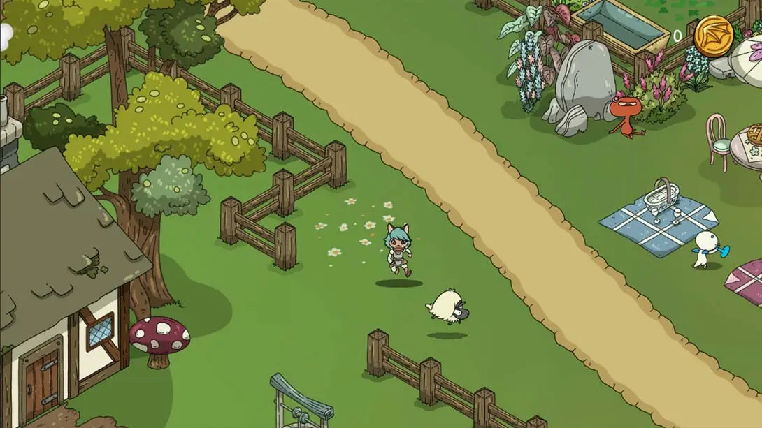 图片[1]-【美版】龙卡菲 Dragon Caffi-游糖YoTeb